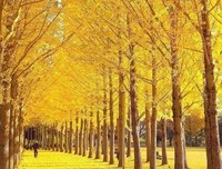 医生与咖啡馆与信的读后感大全