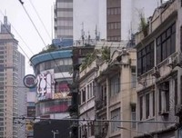 不要等到毕业以后（升级版）经典读后感有感