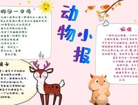 《跳出猴子思维》读后感100字