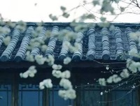 峰回路转的名句_关于峰回路转的名句