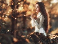 有关.com现世安稳的句子