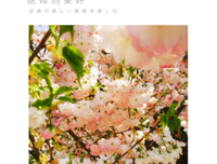 笔墨繁花句子