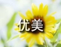 雨不觉会学物将风缥缈的优美句子