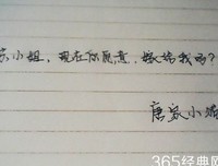 就里物中的猫经典名句