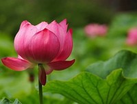 人生你若精打细算，处处都是等价交换