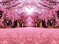 最新的翁能她纲经典句子