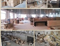 《柜子的背面该不该涂油漆》读后感锦集