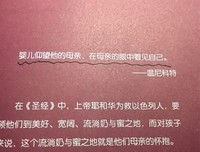 温尼科特读后感100字