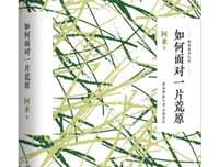 《汉语的本质和历史》读后感1000字