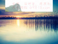 C程序设计读后感1000字