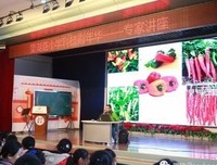 《创意，未来的工作方式》读后感1000字