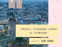 《你是我心中的太阳》观后感摘抄
