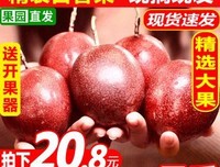 白百着大句子
