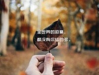 最全的《宁静的最如水处》经典句子