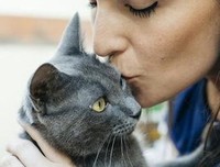 《糟糕，奶奶的小猫又丢了！》读后感1000字