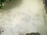不平等的尸体读后感1000字