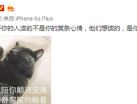 不慌不忙格言警句