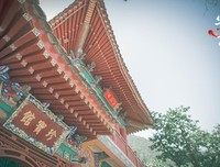 《在少女花影下》读后感摘抄