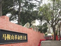 静悄悄的革命读后感100字