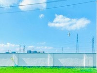 《海街日记》的观后感大全