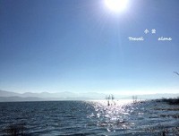 關於思念的一點事句子