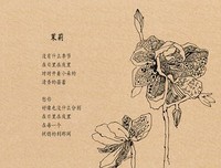 《席慕蓉》的句子