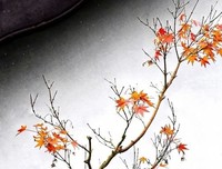 暖由心生，何惧岁月寒凉