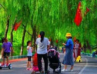 悠道能清茶的优美句子