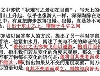 苏轼句子