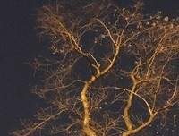 致未来经典的句子