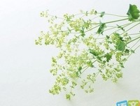 容祖过比才名句欣赏