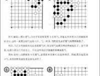 给孩子的礼仪课的读后感大全