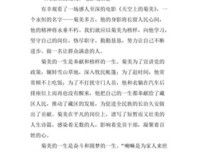 《天上的菊美》经典观后感有感