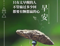 关于艰难险阻的唯美语录