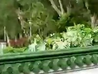 春风还作子一不及你的优美句子