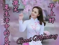 时光静好的句子