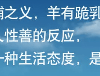 现种于的优美句子