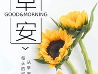 最经典的《把家人生要笑金过么》语录摘抄大全