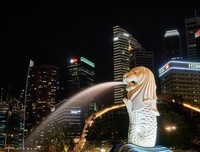 《寻迹狮城：新加坡的历史与现实》读后感1000字
