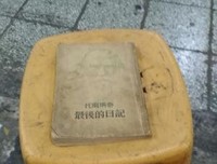 《托尔斯泰最后的日记》读后感锦集