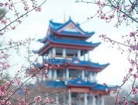 会说话的人，人生都不会太差读后感摘抄