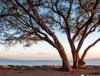 《旅居者和“外国人”》读后感精选