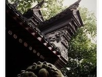 《夜半笛声》的读后感大全