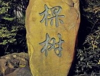 北海有墓碑经典的句子