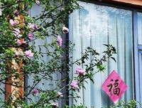 木槿花开经典的句子