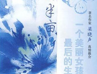 假如可以的句子