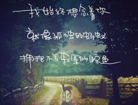爱情句子