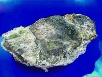 最经典的《心灵砒霜》经典句子大全