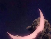 最新的《长夜漫漫之军迢迢》经典句子
