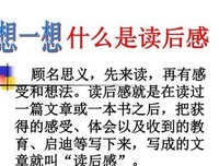 七姐妹读后感1000字